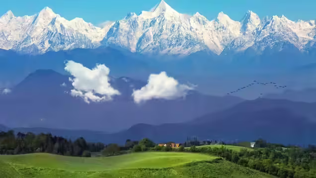 Binsar Tour: Complete Travel Guide for a Peaceful & Digital Detox Holiday in 2026