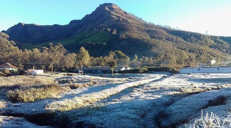 Munnar Records First Sub-Zero Temperature of the Season, Snowfall Stuns Tourists